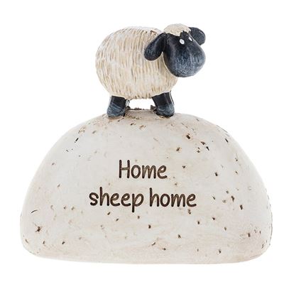 Home Sheep Home - Sheep On Rock Gift